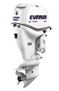 evrinrude250-1.jpg